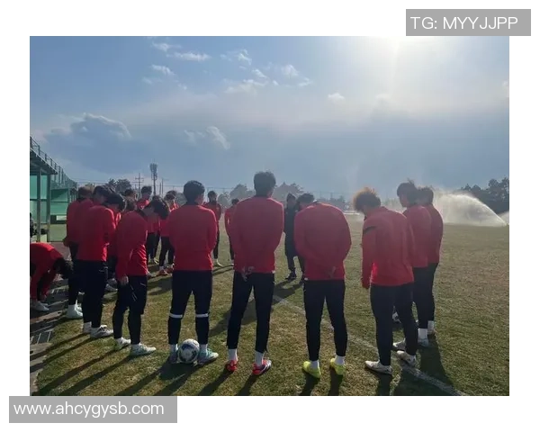 上海足球队技术表现分析与大满贯点评的深度解读